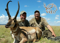 ANTELOPE_03