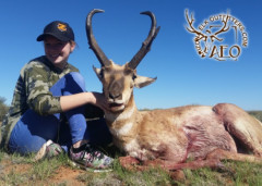 ANTELOPE_06