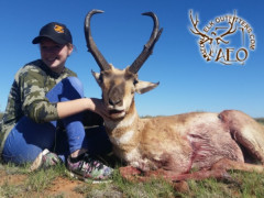 ANTELOPE_06