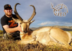 ANTELOPE_07