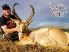 ANTELOPE_07